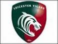 News: Hope, Again Please: Saints v Tigers Preview